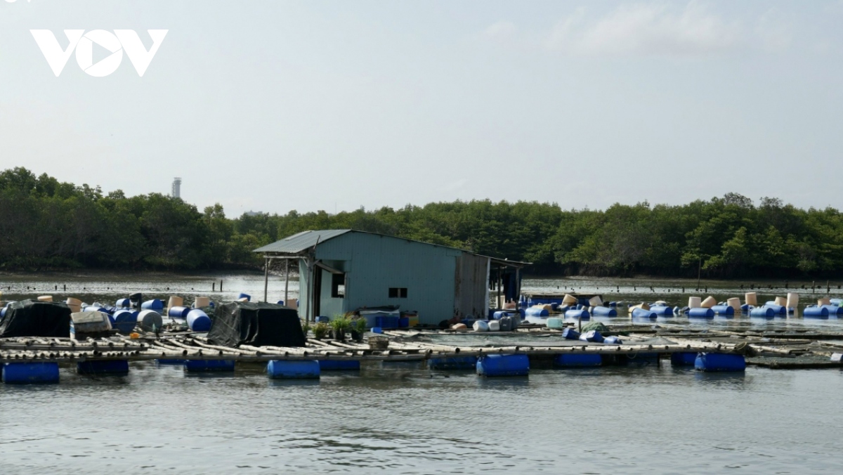 Bà Rịa - Vũng Tàu: Di dời các bè cá trên sông Mỏ Nhát để trển khai dự án logistics